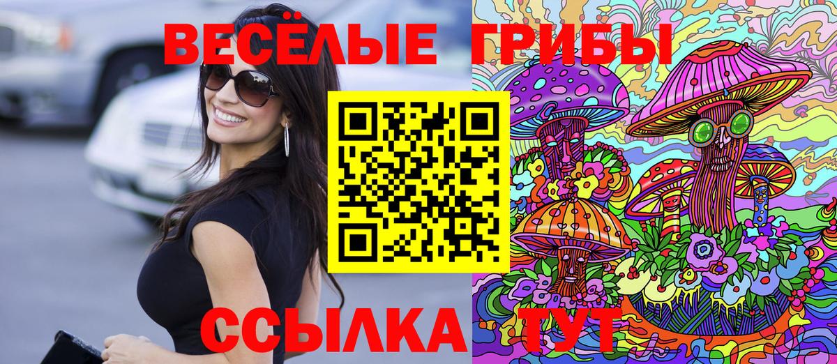 Галлюциногенные грибы Psilocybe  Галлюциногенные грибы ЛСД  Вход с VPN  купить  сайты  Тула 